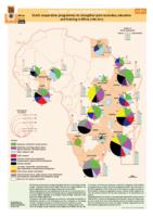 Dutch cooperation programmes to strengthen post-secondary education and training in Africa (1996-2013)