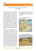 Shocks and coping strategies in rural Ethiopia: a policy brief