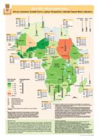 Africa's economic growth from a labour perspective: selected decent work indicators