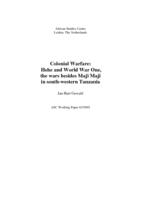 Colonial warfare: Hehe and World War One, the wars besides Maji Maji in south-western Tanzania