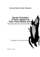 Income generation of farm labourers in Trans Nzoia District, Kenya: rural employment and social networks