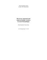 Divorced, separated and widowed female workers in rural Mozambique