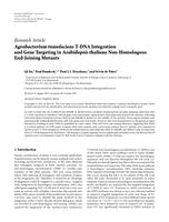 Agrobacterium tumefaciens T-DNA integration and gene-targeting in Arabidopsis thaliana non-homologous end-joining mutants