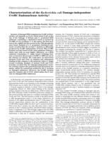 Characterization of the Escherichia coli damage-independent UvrBC endonuclease activity.