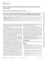 Genome sequence of the octopine-type Agrobacterium Tumefaciens strain Ach5.