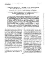 Construction of phoE-caa, a novel PCR- and Immunologically detectable marker gene for pseudomonas putida