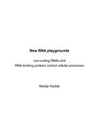 New RNA playgrounds : non-coding RNAs and RNA-binding proteins control cellular processes