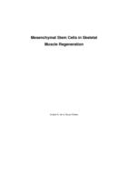 Mesenchymal stem cells in skeletal muscle regeneration