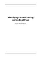 Identifying cancer-causing noncoding RNAs