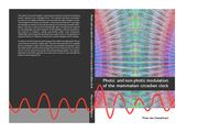 Photic and non-photic modulation of the mammalian circadian clock