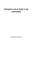 Pathogenic role of (S)IgA in IgA nephropathy