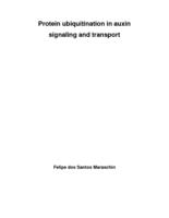 Protein ubiquitination in auxin signaling and transport