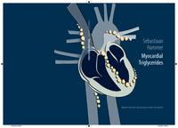 Myocardial triglycerides :  magnetic resonance spectroscopy in health and diabetes