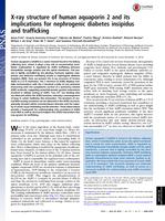 X-ray structure of human aquaporin 2 and its implications for nephrogenic diabetes insipidus and trafficking