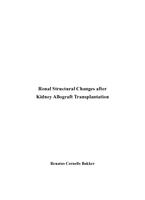 Renal Structural Changes after Kidney Allograft Transplantation