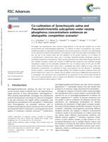 Co-cultivation of Synechocystis salina and Pseudokirchneriella subcapitata under varying phosphorus concentration is evidence of an allelopathic competition scenario.