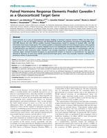 Paired hormone response elements predict caveolin-1 as a glucocorticoid target gene