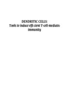 Dendritic cells : tools to induce efficient T cell mediated immunity