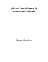Molecular catalytic system for efficient water splitting