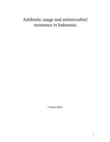 Antibiotic usage and antimicrobial resistance in indonesia