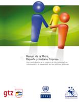 Manual de la Micro, Pequeña y Mediana Empresa. Una contribución a la mejora de los sistemas de información y el desarrollo de las políticas públicas