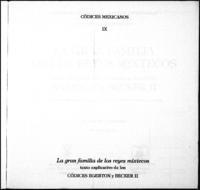 La Gran Familia de los Reyes Mixtecos. Libro Explicativo de los Llamados Códices Egerton y Becker II.