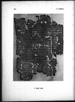 Zwei Wiener Papyri