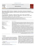 Macrophage ABCA2 deletion modulates intracellular cholesterol deposition, affects macrophage apoptosis, and decreases early atherosclerosis in LDL receptor knockout mice