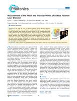 Measurement of the phase and intensity profile of surface plasmon laser emission