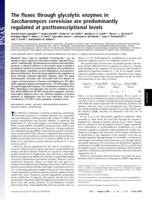 The fluxes through glycolytic enzymes in Saccharomyces cerevisiae are predominantly regulated at posttranscriptional levels