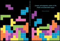 Genetic and epigenetic studies of the FSHD-associated D4Z4 repeat