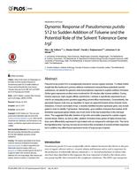 Dynamic Response of Pseudomonas putida S12 to Sudden Addition of Toluene and the Potential Role of the Solvent Tolerance Gene trgI