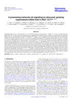 A precessing molecular jet signaling an obscured, growing supermassive black hole in NGC 1377?