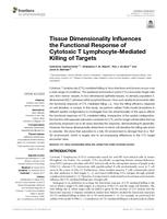 Tissue Dimensionality Influences the Functional Response of Cytotoxic T Lymphocyte-Mediated Killing of Targets