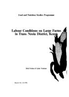 Labour conditions on large farms in Trans Nzoia District, Kenya