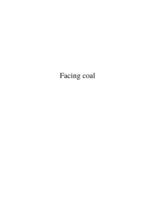 Facing coal: changing conceptions of South African coal-based pollution, with special reference to the Witbank coalfield, 1906-1978