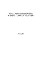 Focal adhesion signaling in breast cancer treatment