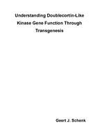 Understanding doublecortin-like kinase gene function through transgenesis