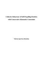 Collective behaviour of self-propelling particles with conservative kinematic constraints