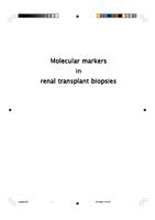 Molecular markers in renal transplant biopsies