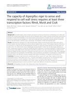 The capacity of Aspergillus niger to sense and respond to cell wall stress requires at least three transcription factors: RlmA, MsnA and CrzA.