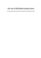 The role of PRAS40 in insulin action : at the intersection of protein kinase B (PKB/Akt) and mamalian target of rapamyein (mTOR)