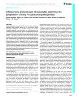 Efferocytosis and extrusion of leukocytes determine the progression of early mycobacterial pathogenesis