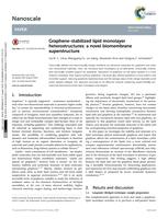 Graphene-stablized lipid monolayer heterostructures: a novel biomembrane superstructure