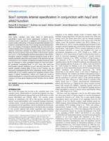 Sox7 controls arterial specification in conjunction with hey2 and efnb2 function