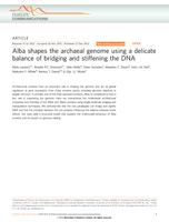 Alba shapes the archaeal genome using a delicate balance of bridging and stiffening the DNA