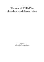 The role of PTHrP in chondrocyte differentiation.