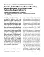 Selection of a plant-bacterium pair as a novel tool for rhizostimulation of polycyclic aromatic hydrocarbon-degrading bacteria