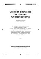 Cellular signaling in human cholesteatoma