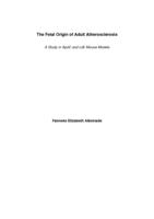 The fetal origin of adult atherosclerosis : a study in ApoE and Ldlr mouse models